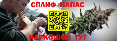 эйфоретик Малгобек
