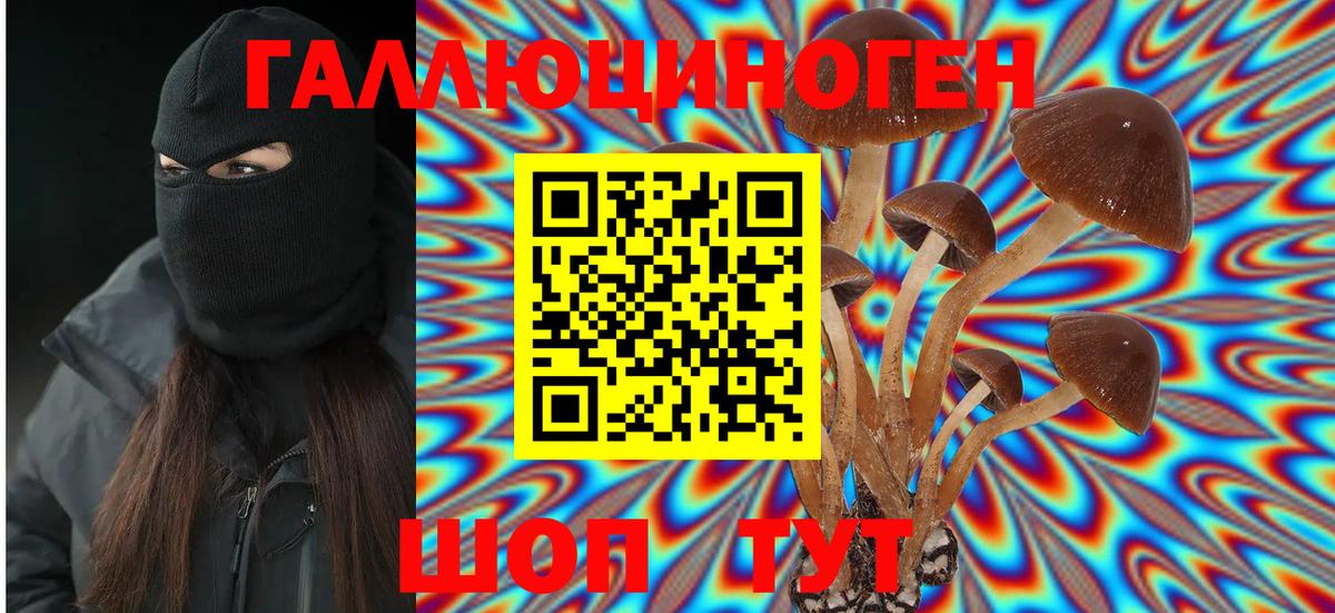 Галлюциногенные грибы Psilocybine cubensis Усть-Илимск