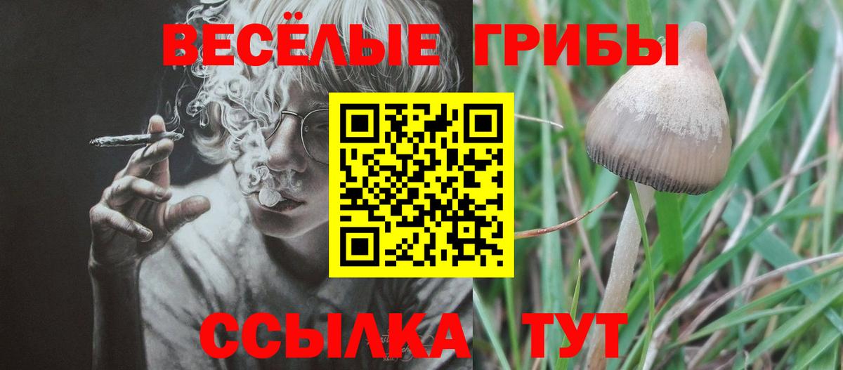 Псилоцибиновые грибы GOLDEN TEACHER  цены наркотик  Усть-Илимск  Вход с VPN 